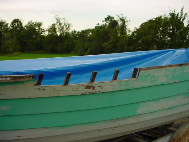 DSC03190.jpg