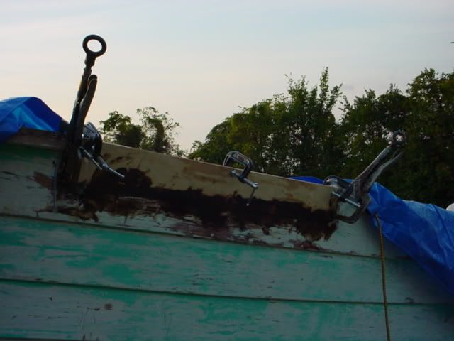 DSC03193.jpg