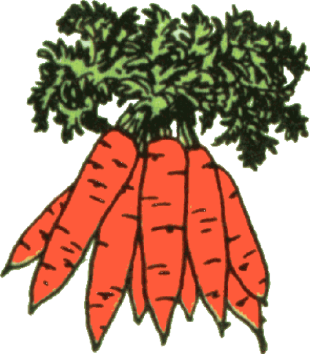 Clip Art Carrots Clipart bucket of carrots clip art clipart free download art