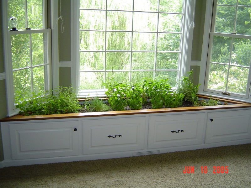 indoor  herb garden
