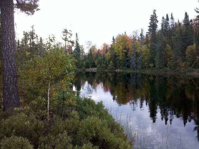 IMG_20110927_075343.jpg