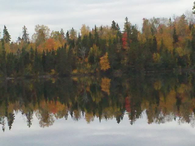 IMG_20110928_080106.jpg