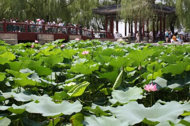 IMAGE: http://i114.photobucket.com/albums/n274/paulpker101/IMG_2450.jpg