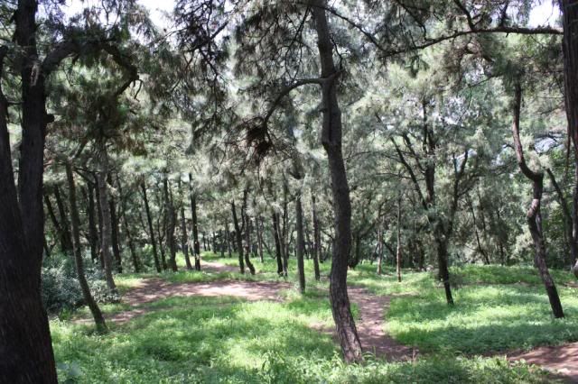 IMAGE: http://i114.photobucket.com/albums/n274/paulpker101/IMG_2487.jpg