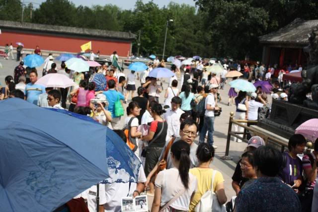 IMAGE: http://i114.photobucket.com/albums/n274/paulpker101/IMG_2516.jpg