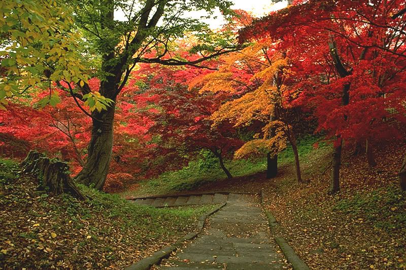 hirosaki castle japan