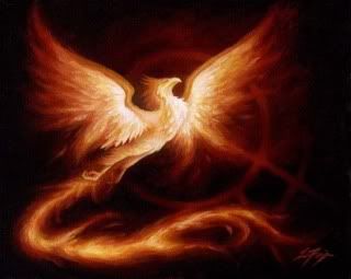 Phoenix Rising Pictures, Images and Photos