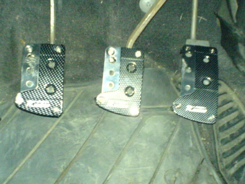 DSC00080.jpg?t=1170455122