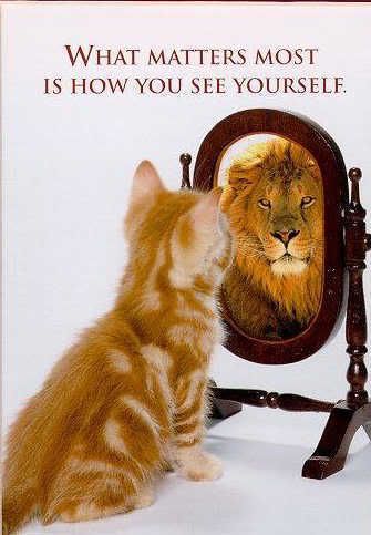 cat in mirror lion. Cat Sees Lion in Mirror