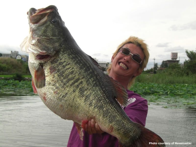 largemouth bass record. Record Largemouth Bass