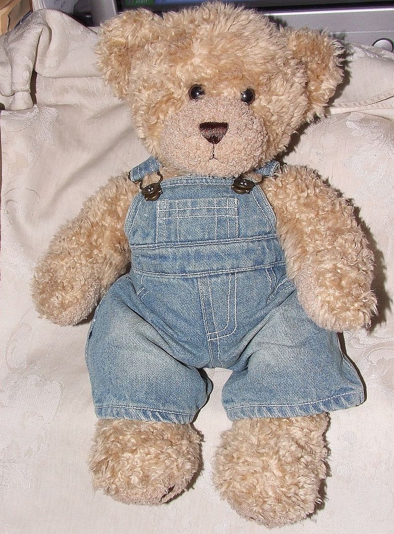 teddy bear in overalls