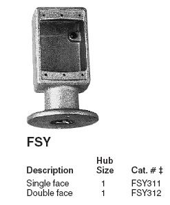 fsybody.jpg