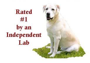 independentlab.jpg