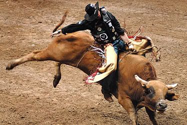 Bull riding