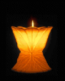 CANDLE Pictures, Images and Photos