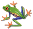 frog-little.gif