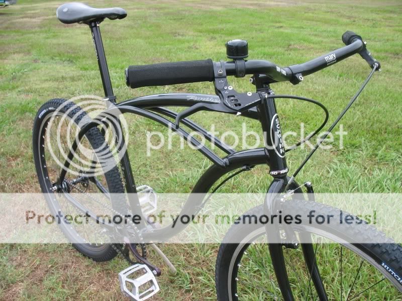 schwinn black panther