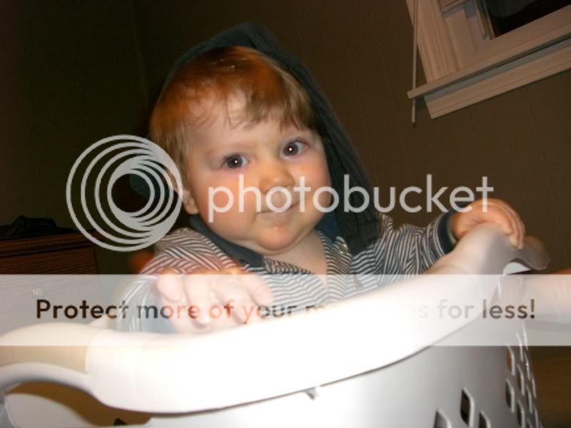 Eli in Laundry Basket