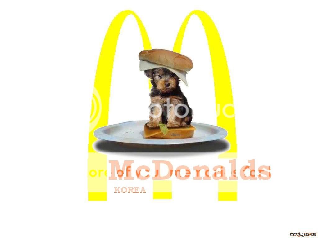http://i114.photobucket.com/albums/n269/evanescenceel/Photoshop/McDonalds.jpg