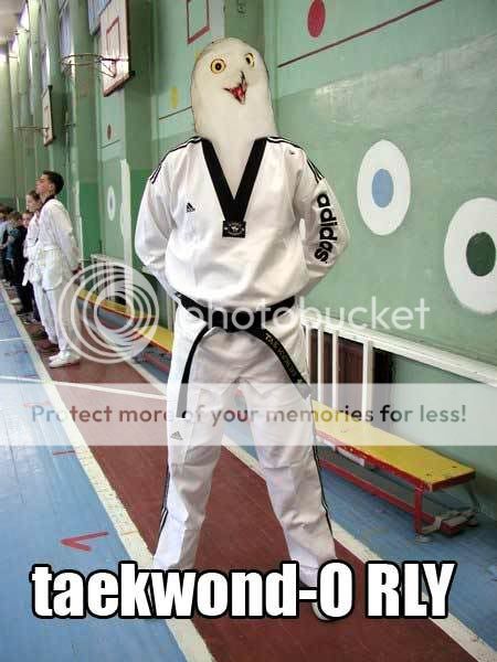https://i114.photobucket.com/albums/n280/Guitar-Wolf/Taekwondorly.jpg